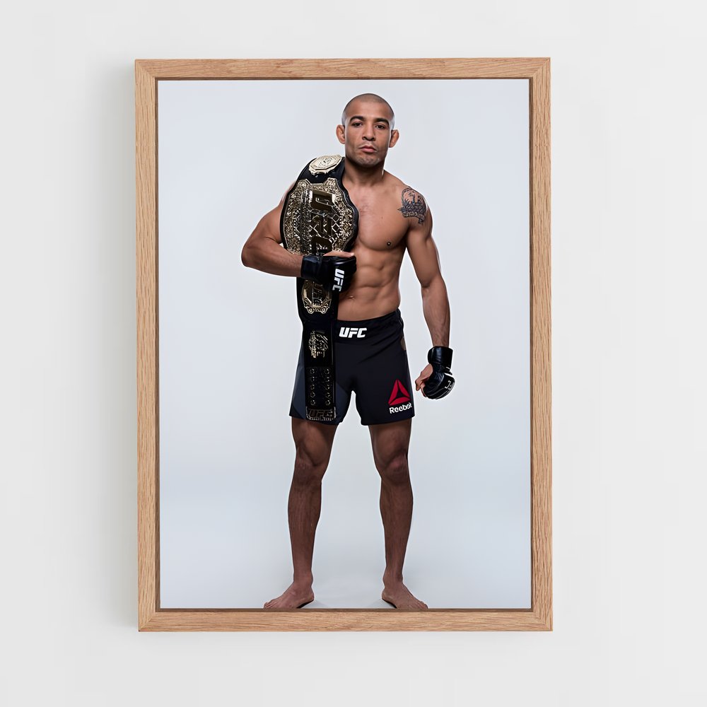 Poster Aldo Champion – affiche MMA (vue 4)